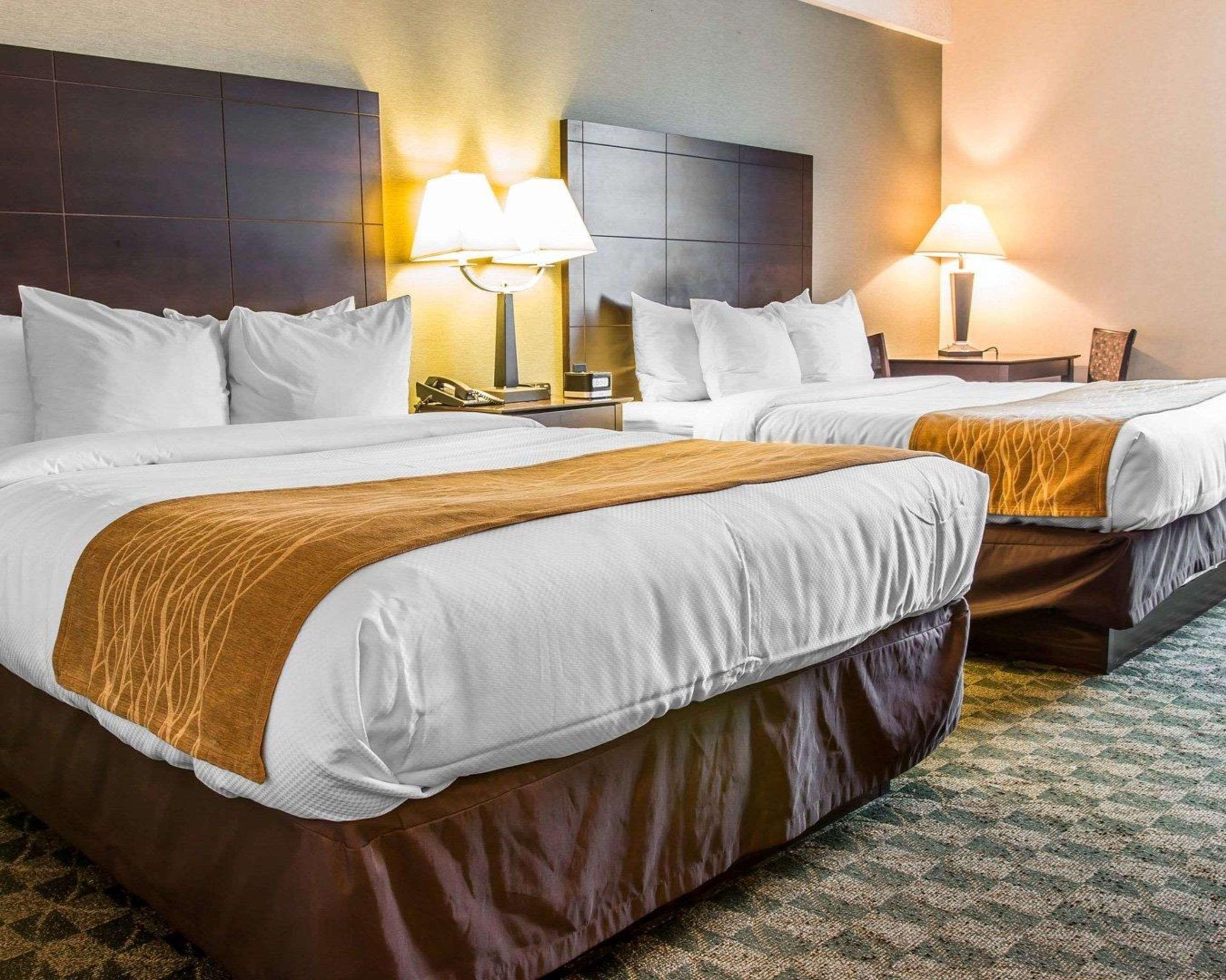 Comfort Inn Whitehall Near Michigan'S Adventure Kültér fotó